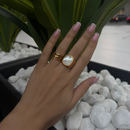 Shell Ring