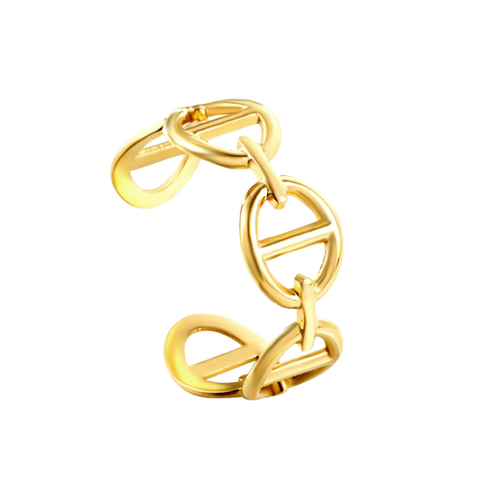 Chain Ring